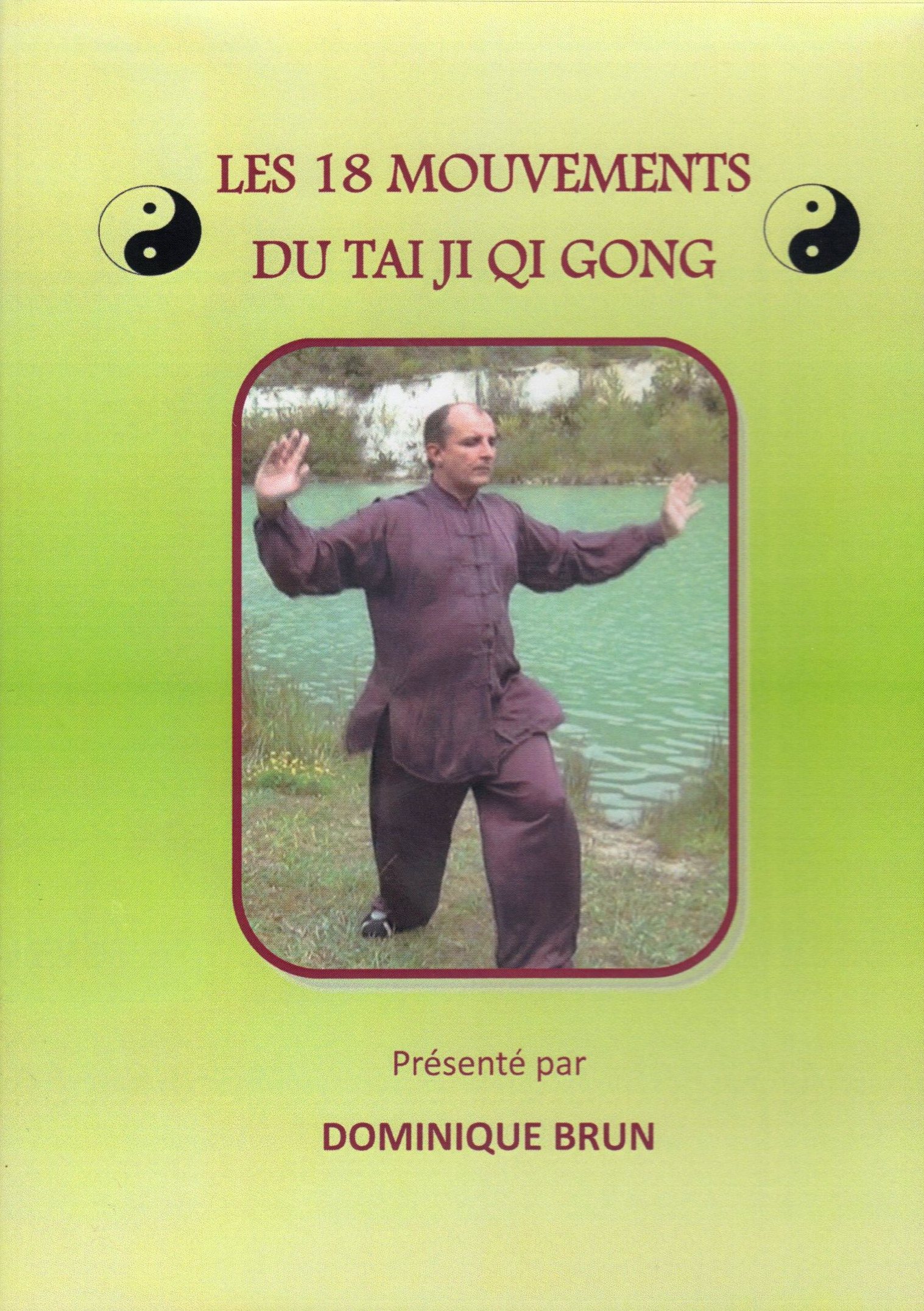 DVD étude du TAIJI QI GONG 'élémentaires' en 8 exercices - La Tortue de Jade